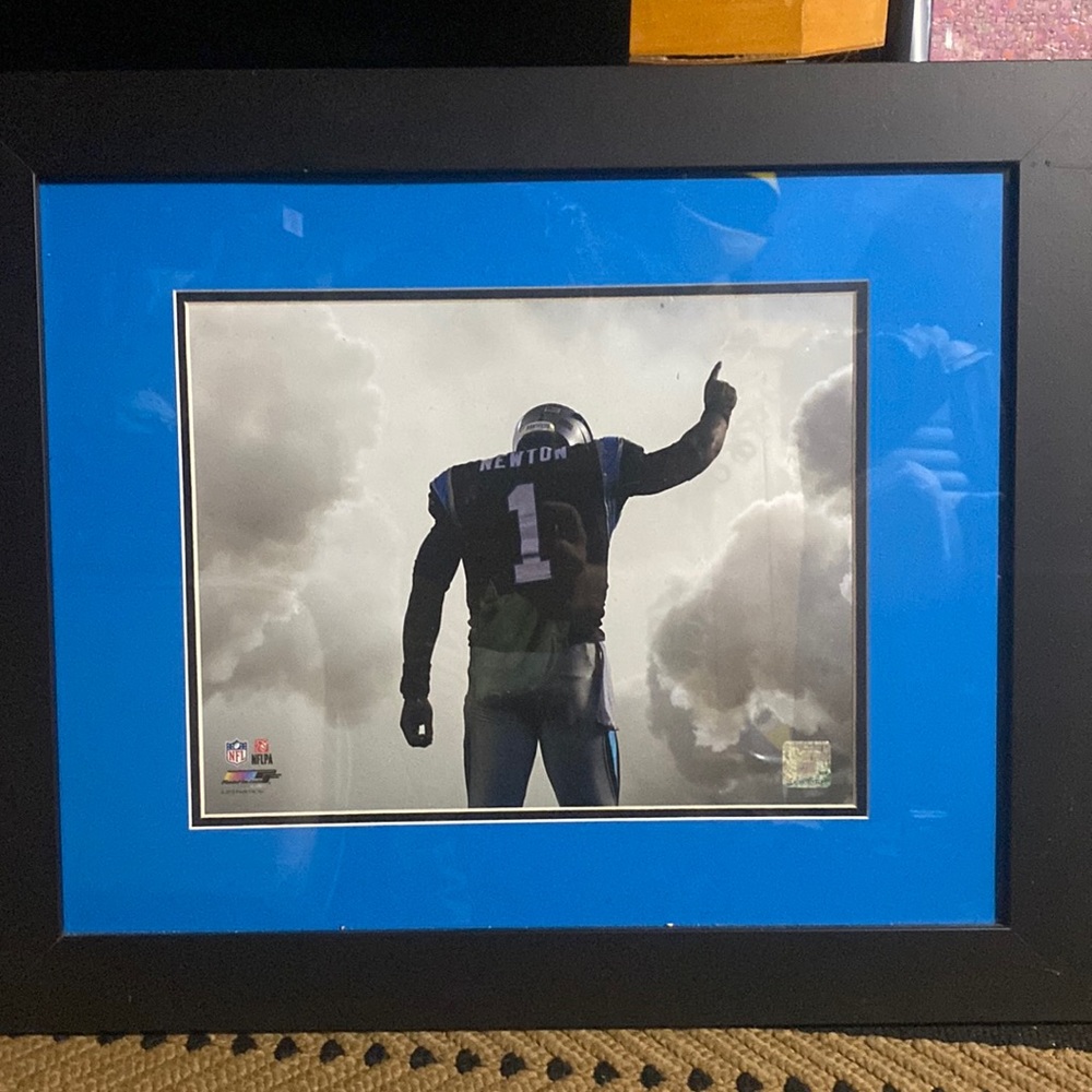 Cam Newton A Panther Pointing to the Heavens